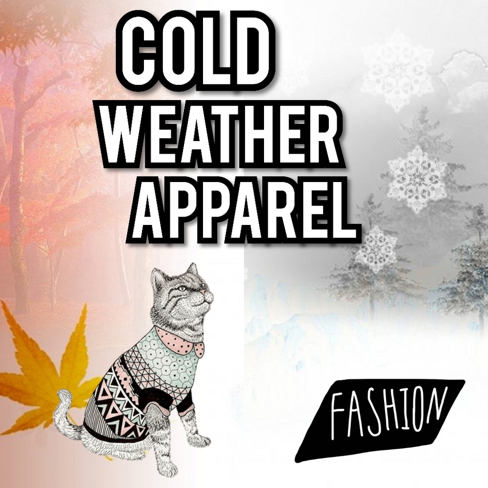 COLD WEATHER ATTIRE AHEAD!